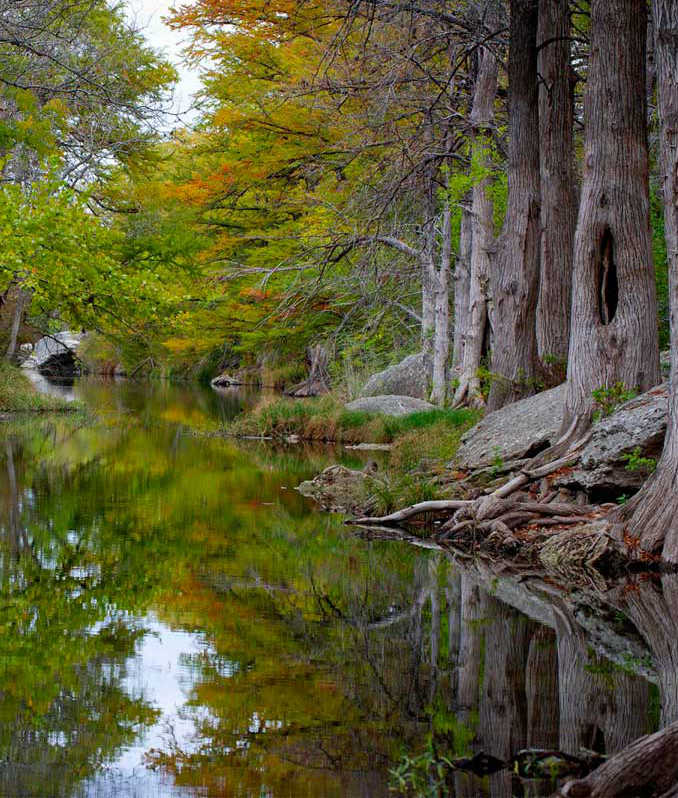 McKinney-State-Park-photo-by-Texas-Parks-and-Wildlife-crp